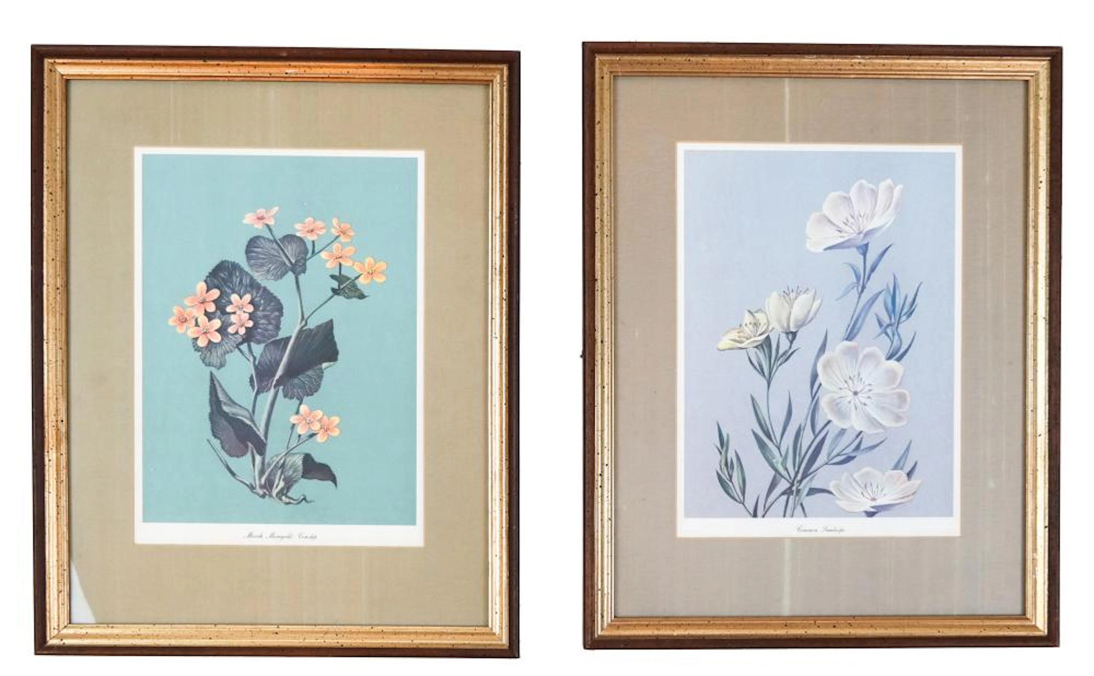 Two Floral Prints