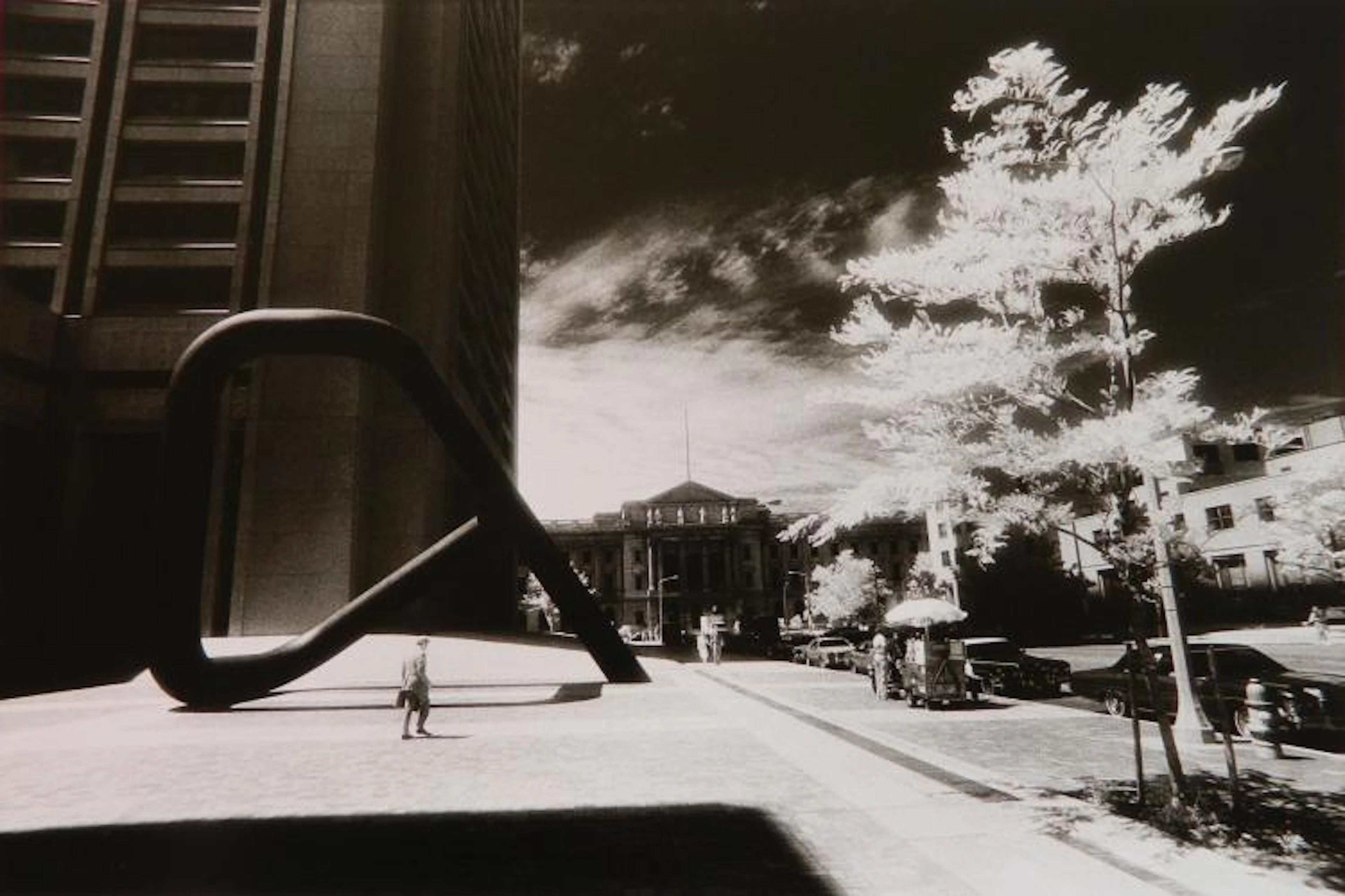 Abe Frajndlich photograph