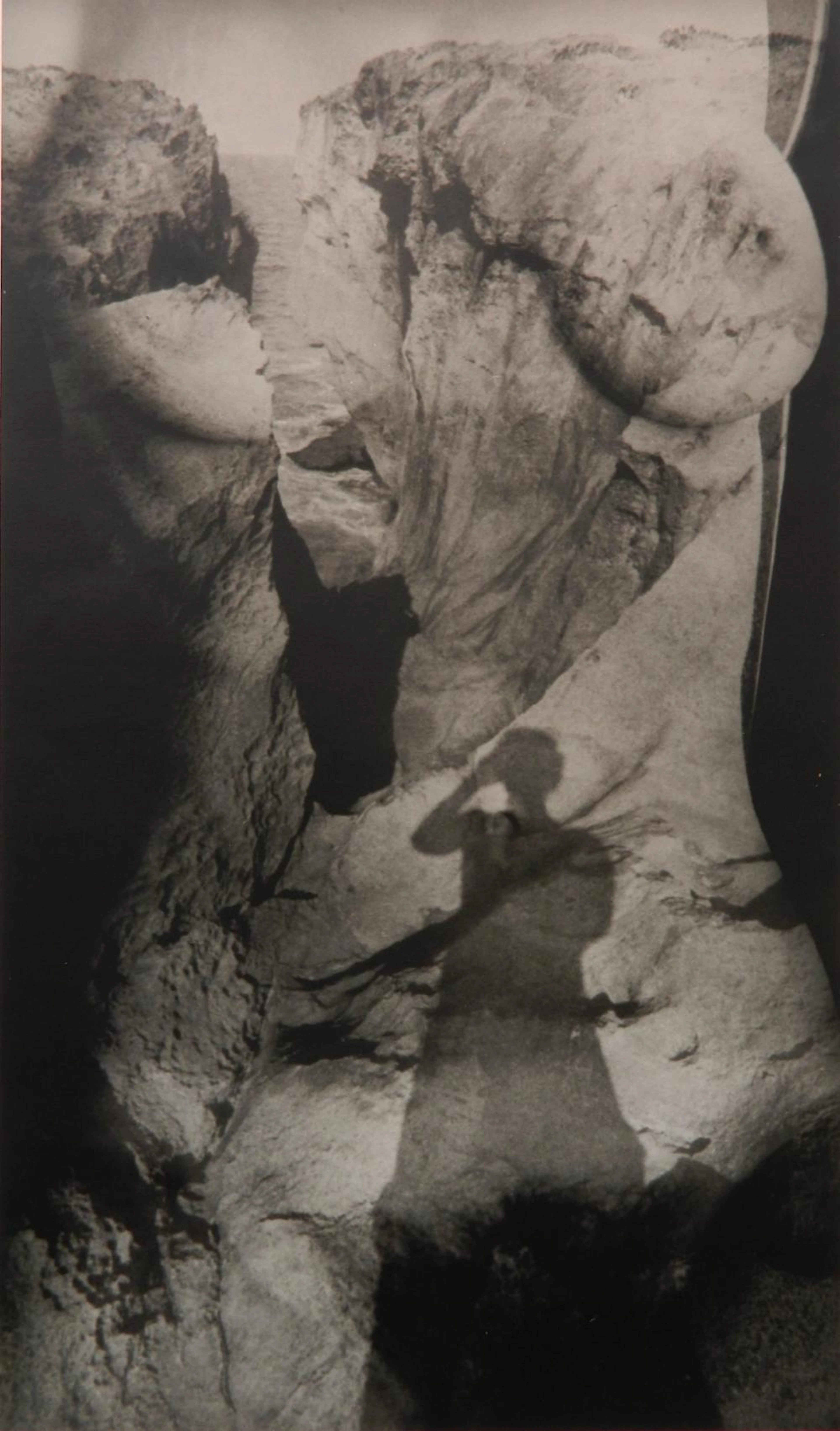 Abe Frajndlich photograph