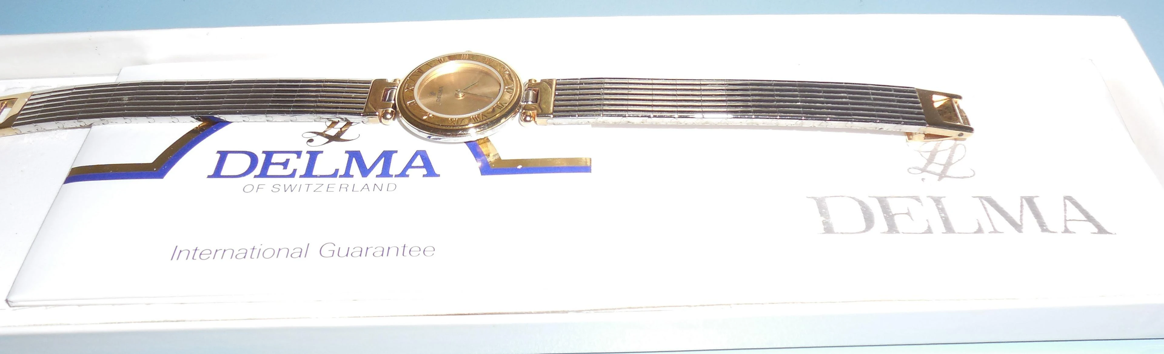 Delma Ladies Wrist Watch W-1126